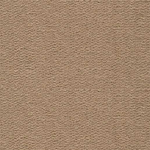 Best Wool Carpets Tasman 121 Kings Interiors 0115 9455584